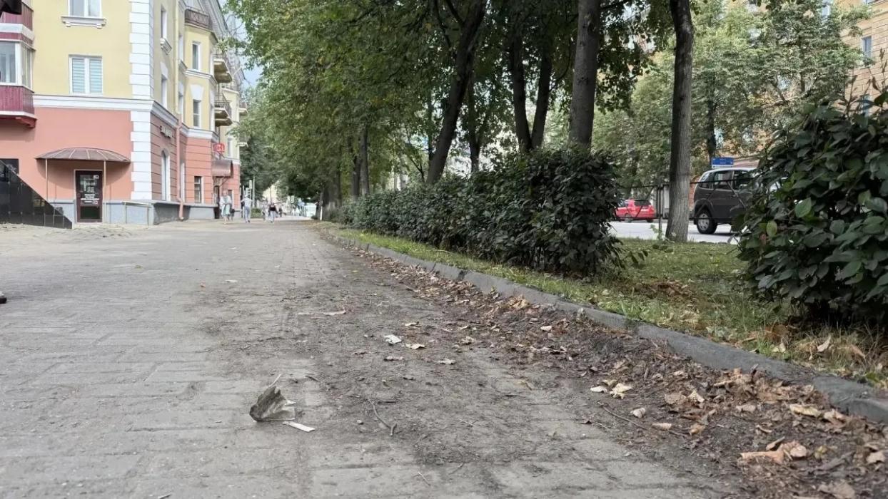 Михаил Ведерников раскритиковал власти Великих Лук за неухоженный вид города