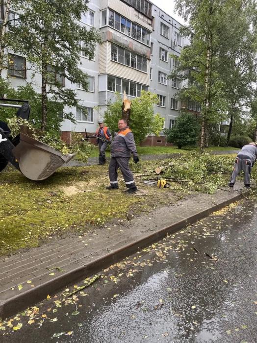 Уборка последствий непогоды 