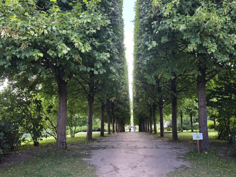 Ореховно