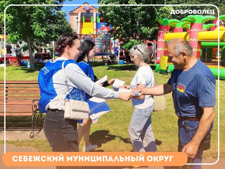  Волонтёры Псковской области помогают благоустраивать города, сохранять память и информировать жителей