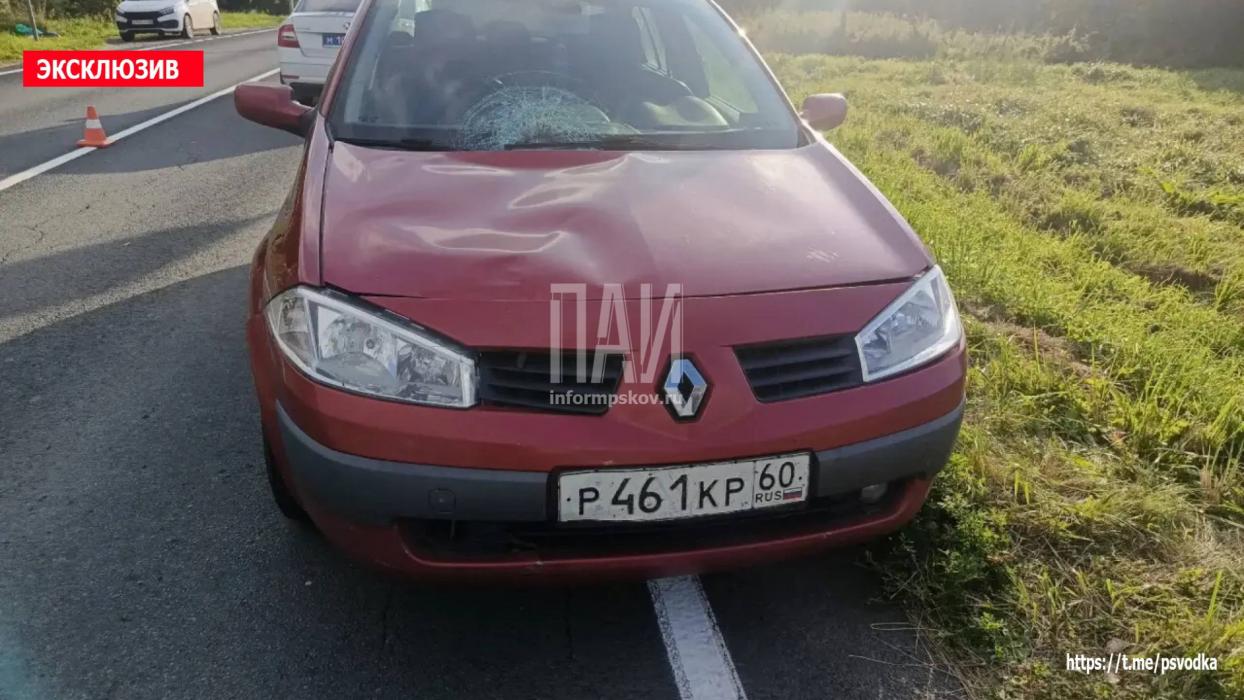 ДТП в Порховском районе