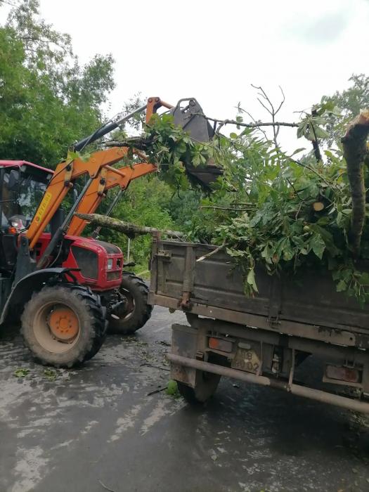 Последствия непогоды в Пыталовском районе