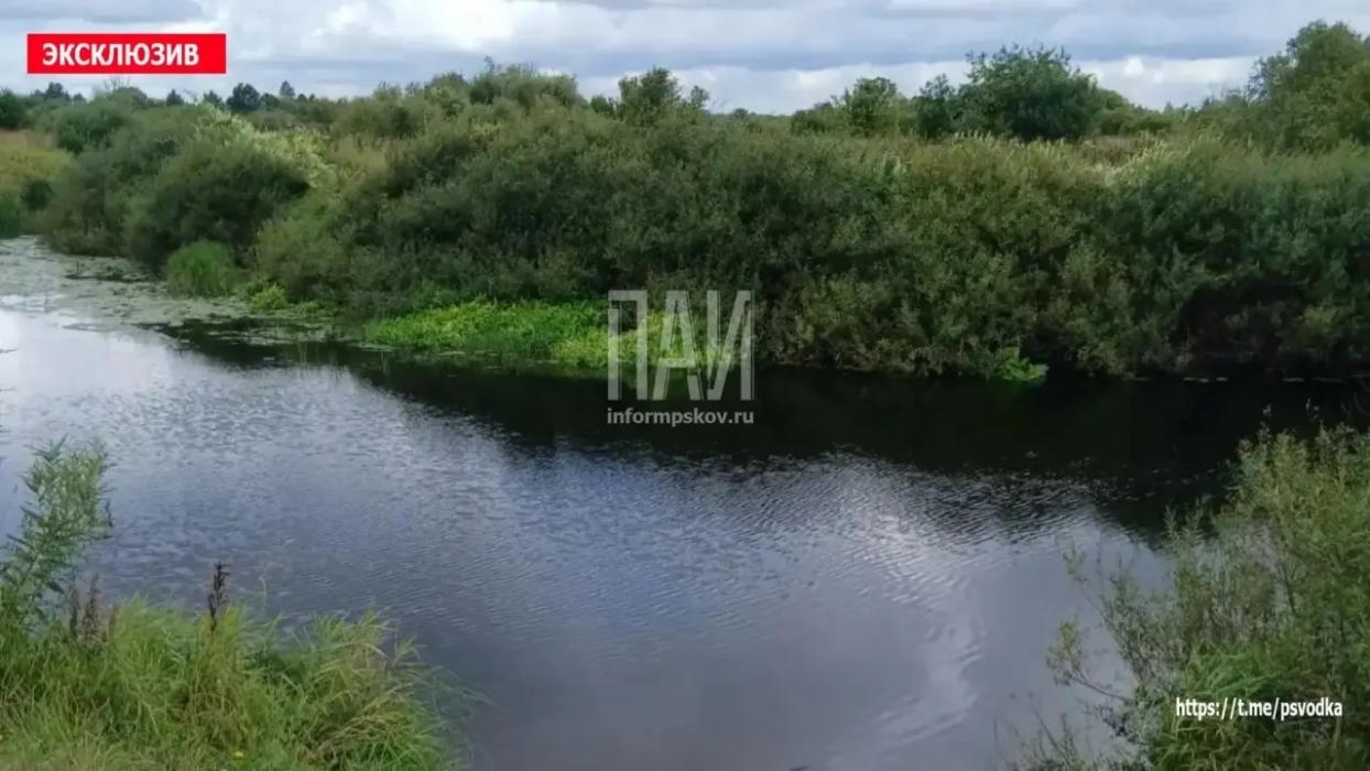 Масштабные поиски пропавшего девятилетнего мальчика завершились в деревне Заболотье Великолукского района
