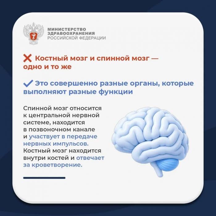 Минздрав Псковской области развеял мифы о донорстве костного мозга