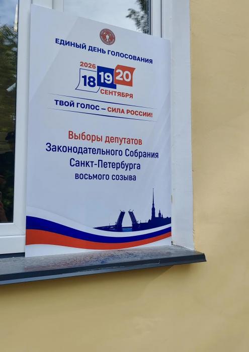 Голосование на экстерриториальных участках проходит в Псковской области