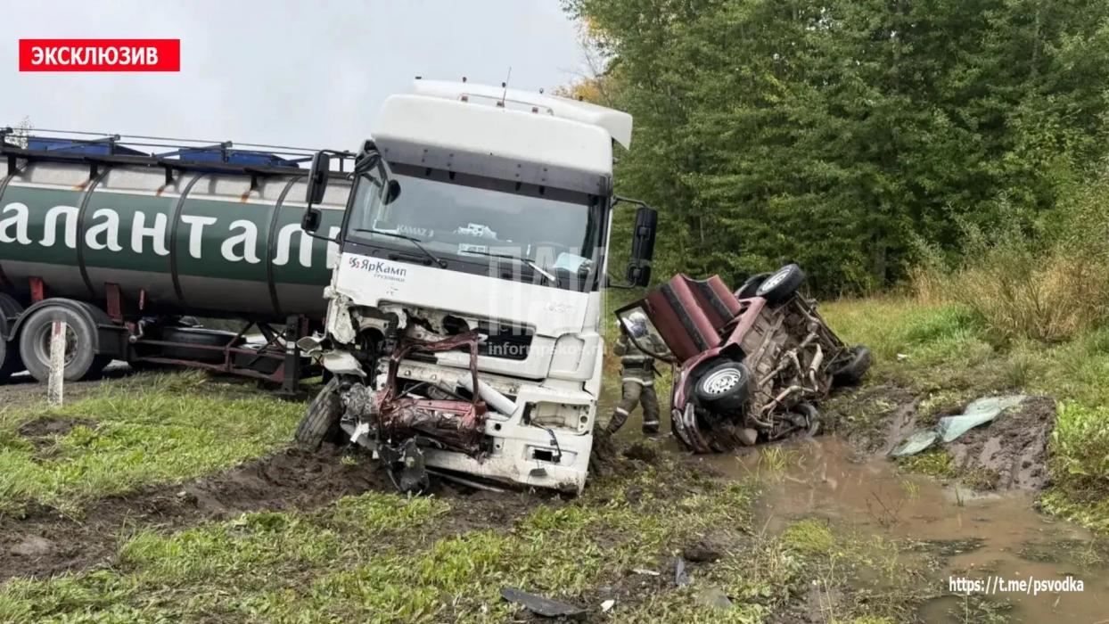 ДТП в Плюсском районе у деревни Заполье