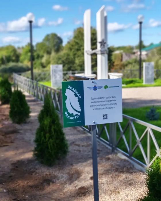 Акция по высадке саженцев туи