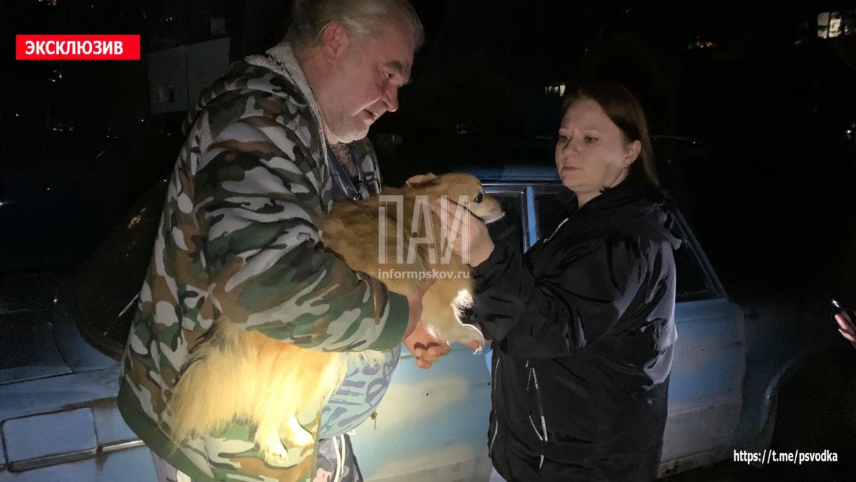 ДТП в Пскове на Рижском проспекте произошло из-за плохого самочувствия водителя ВАЗа