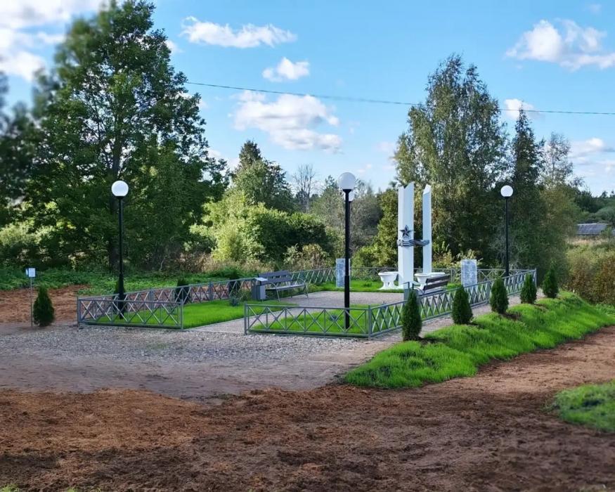 Акция по высадке саженцев туи