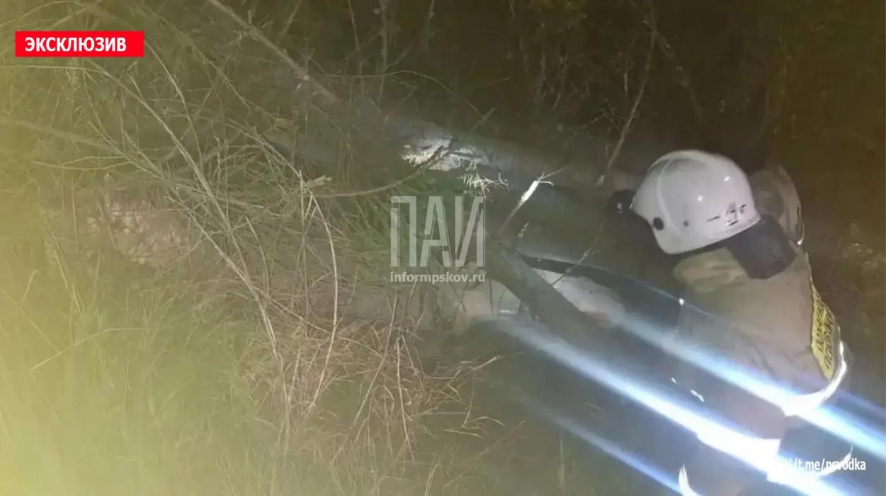 Три человека пострадали в ДТП с лосем в Плюсском районе