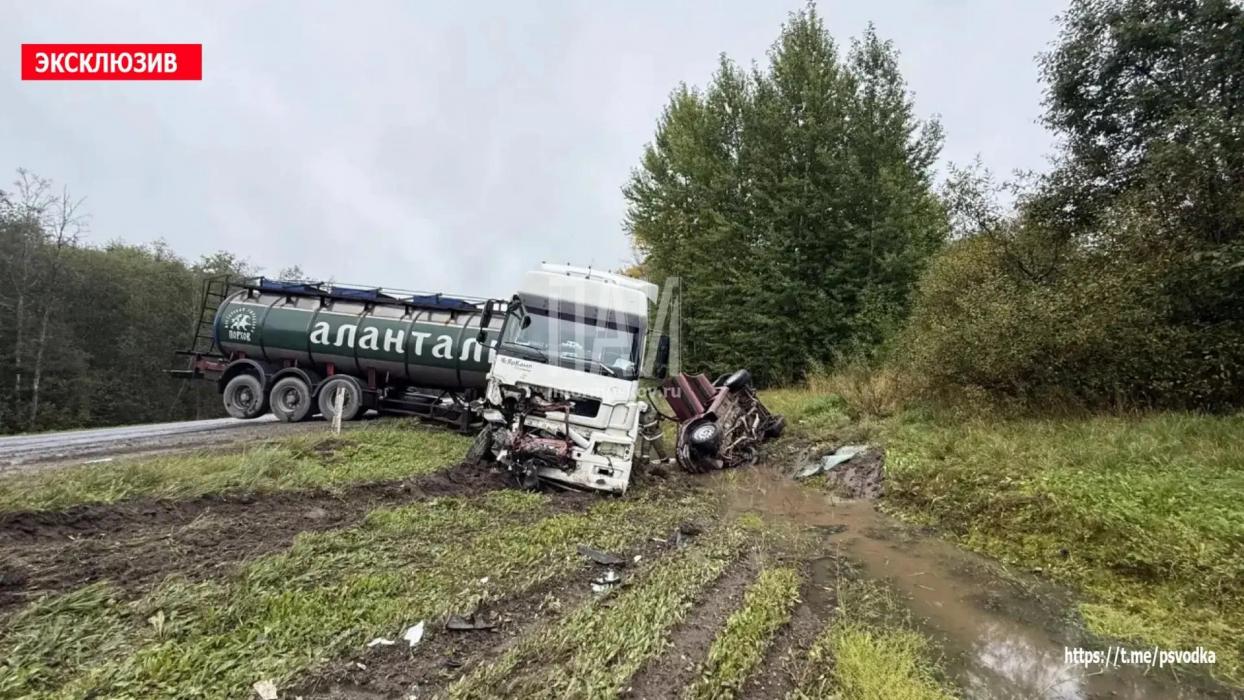 ДТП в Плюсском районе у деревни Заполье
