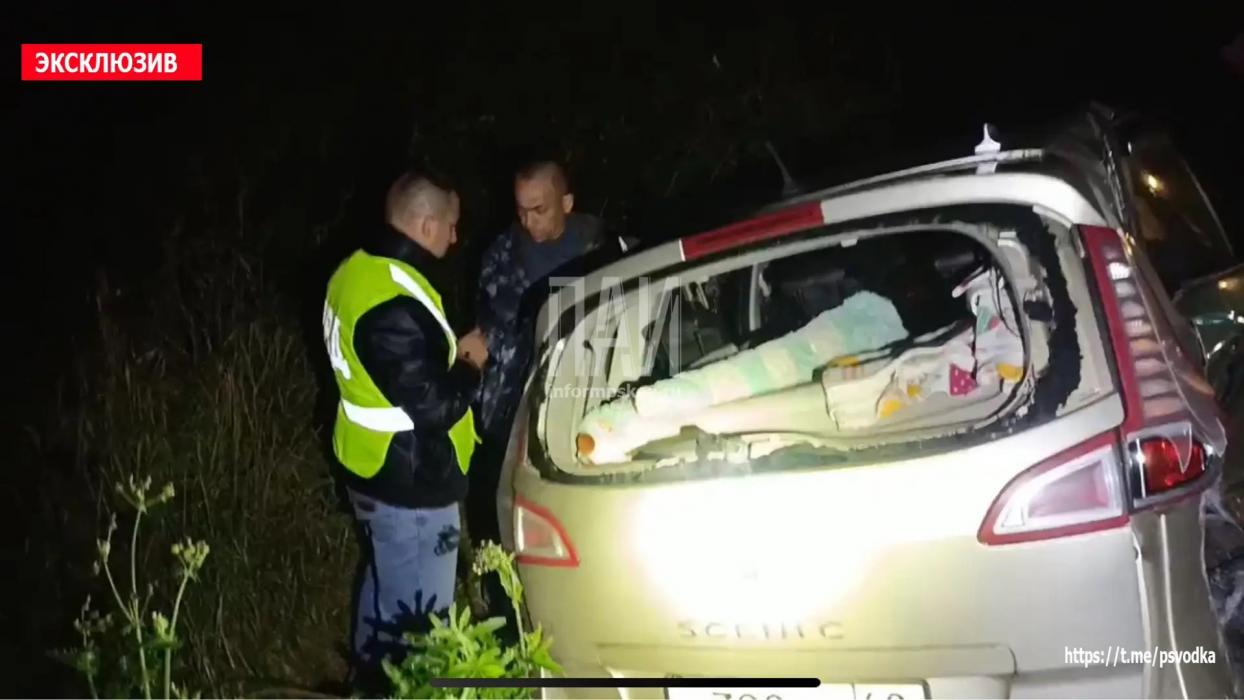 Один человек пострадал в ДТП в Бежаницком районе, оба водителя были пьяны