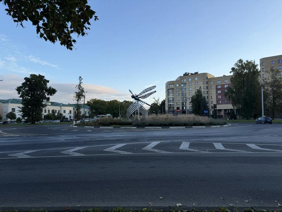Стрекоза украсила клумбу на площади Героев-Десантников в Пскове