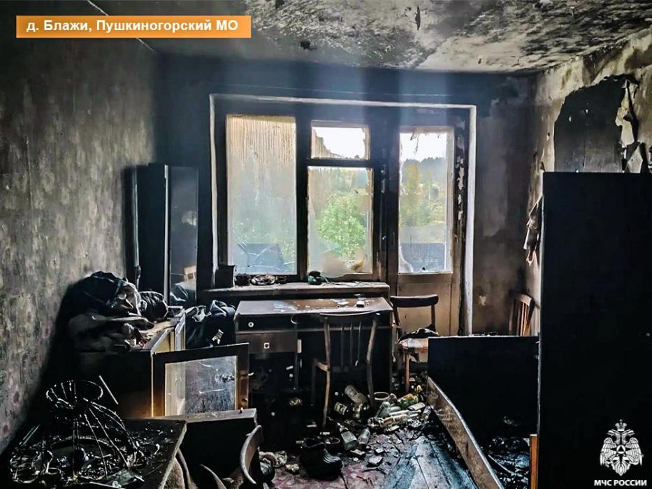 Один человек погиб и один пострадал при пожарах в Псковской области