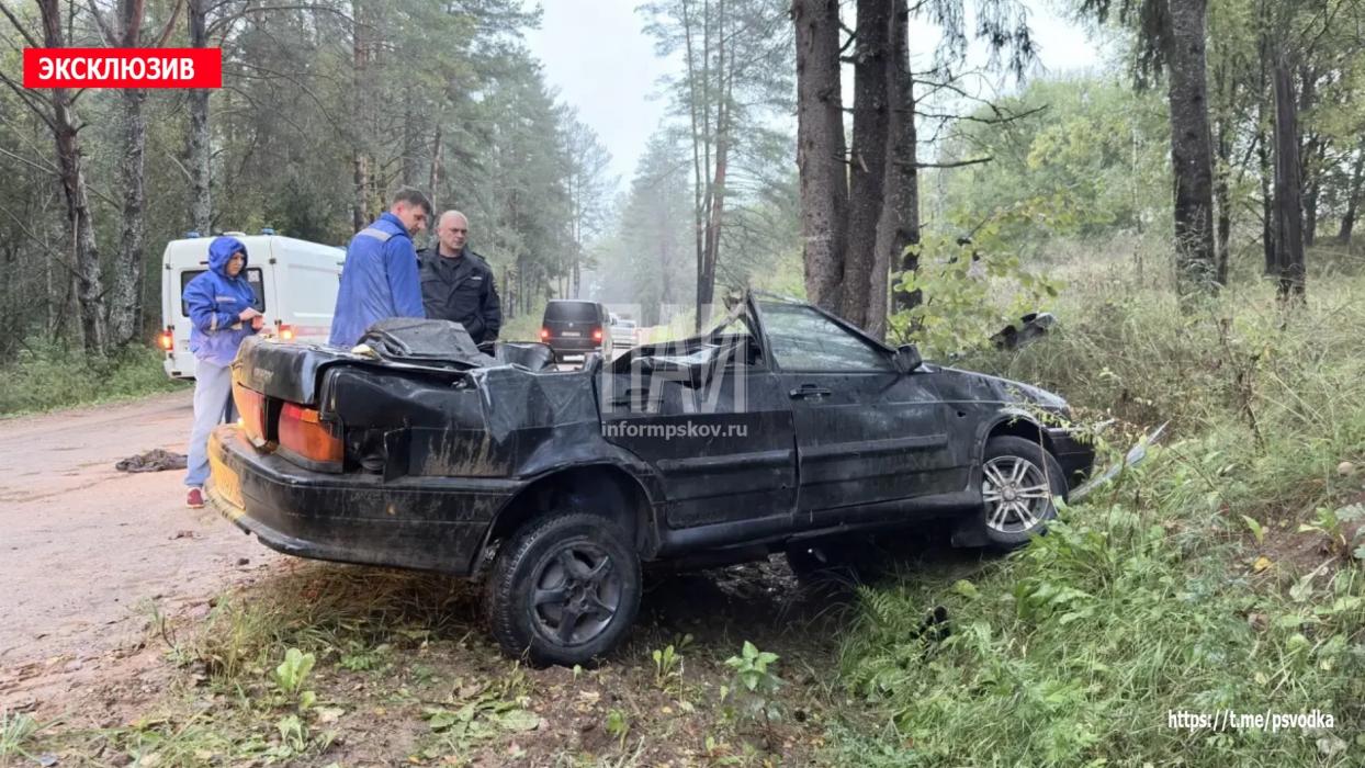 ДТП в Псковской области 