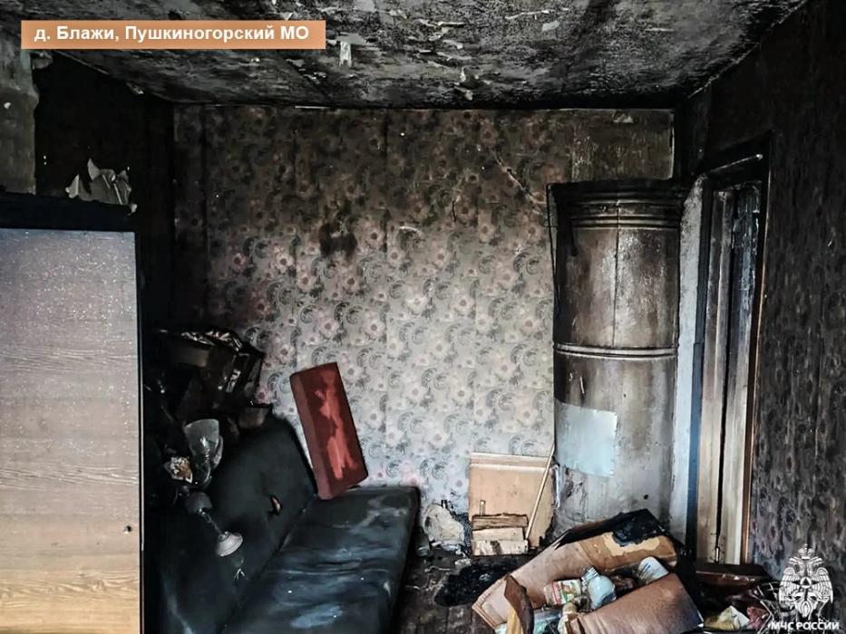 Один человек погиб и один пострадал при пожарах в Псковской области