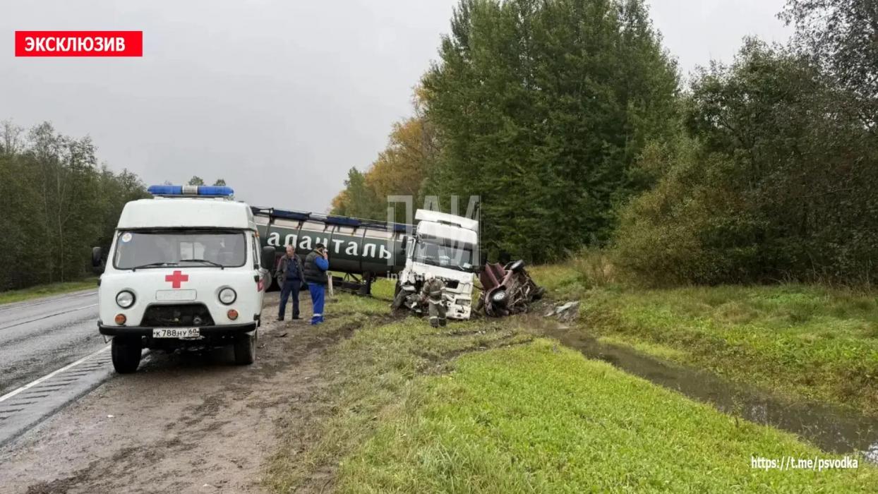 ДТП в Плюсском районе у деревни Заполье