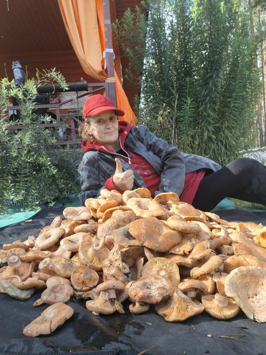 Тихая охота в себежском лесу