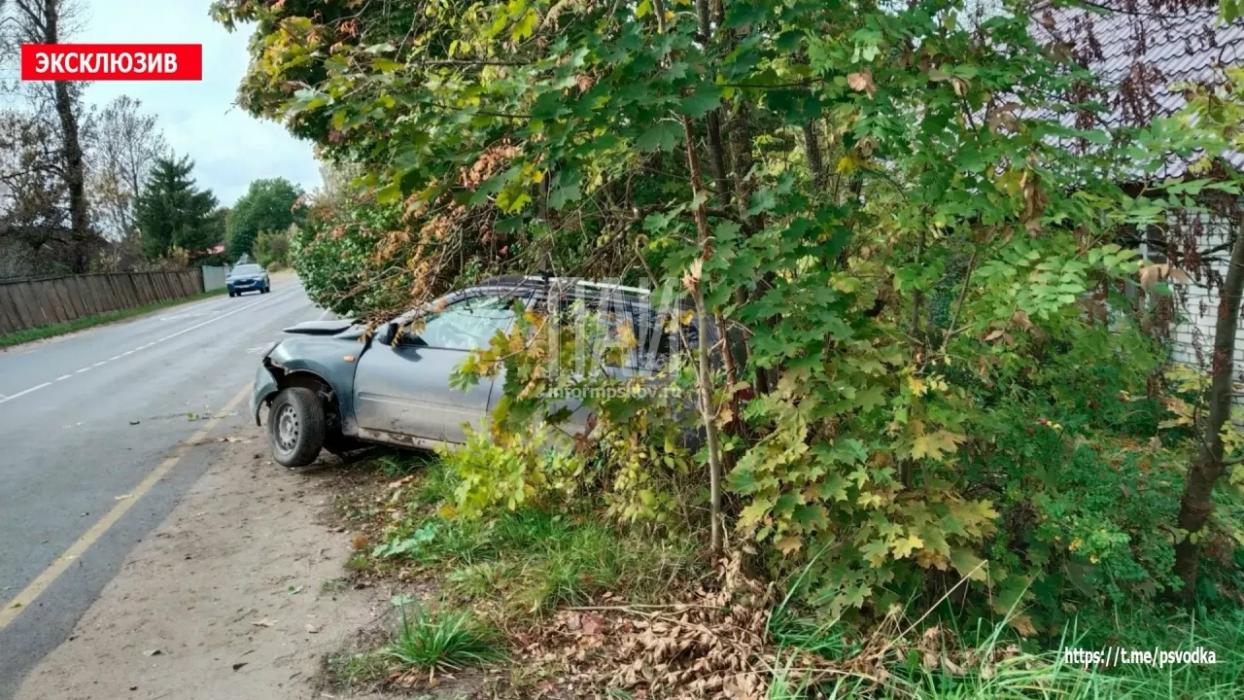 ДТП в Стругах Красных 