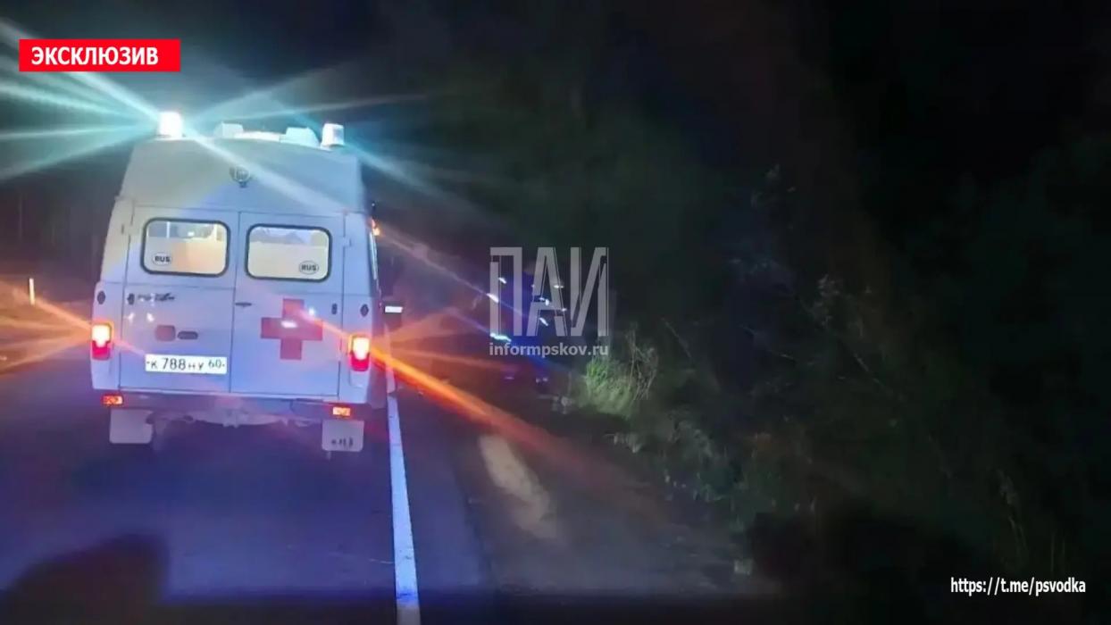 Три человека пострадали в ДТП с лосем в Плюсском районе