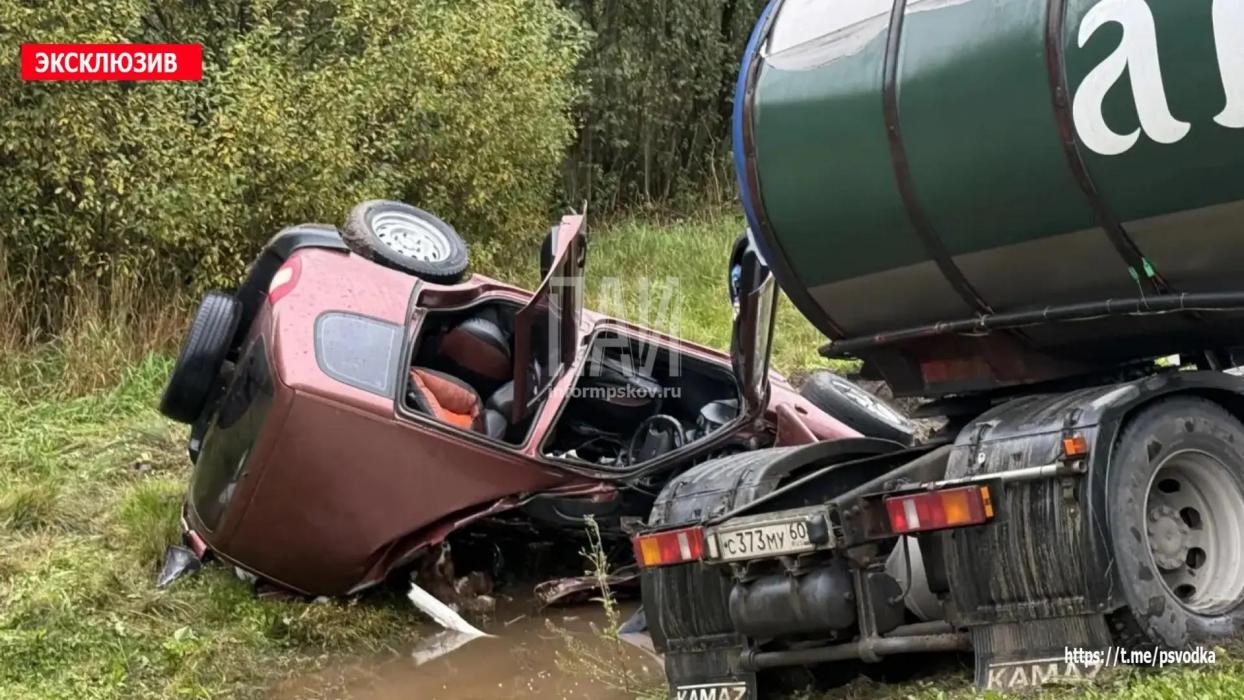 ДТП в Плюсском районе у деревни Заполье
