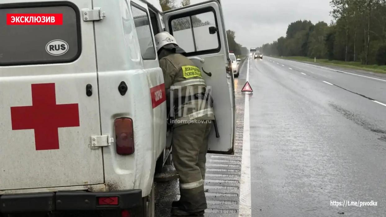 ДТП в Плюсском районе у деревни Заполье