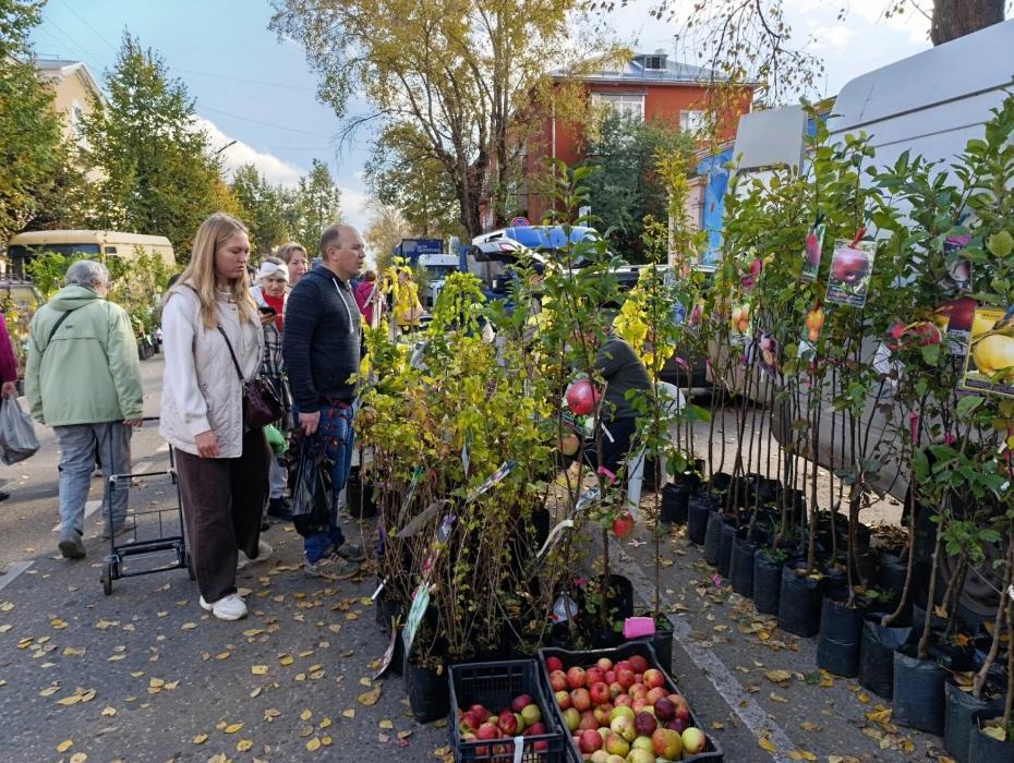 Ярмарка в Великих Луках