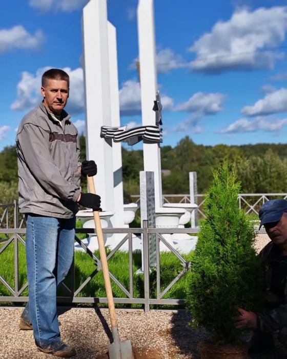 Акция по высадке саженцев туи