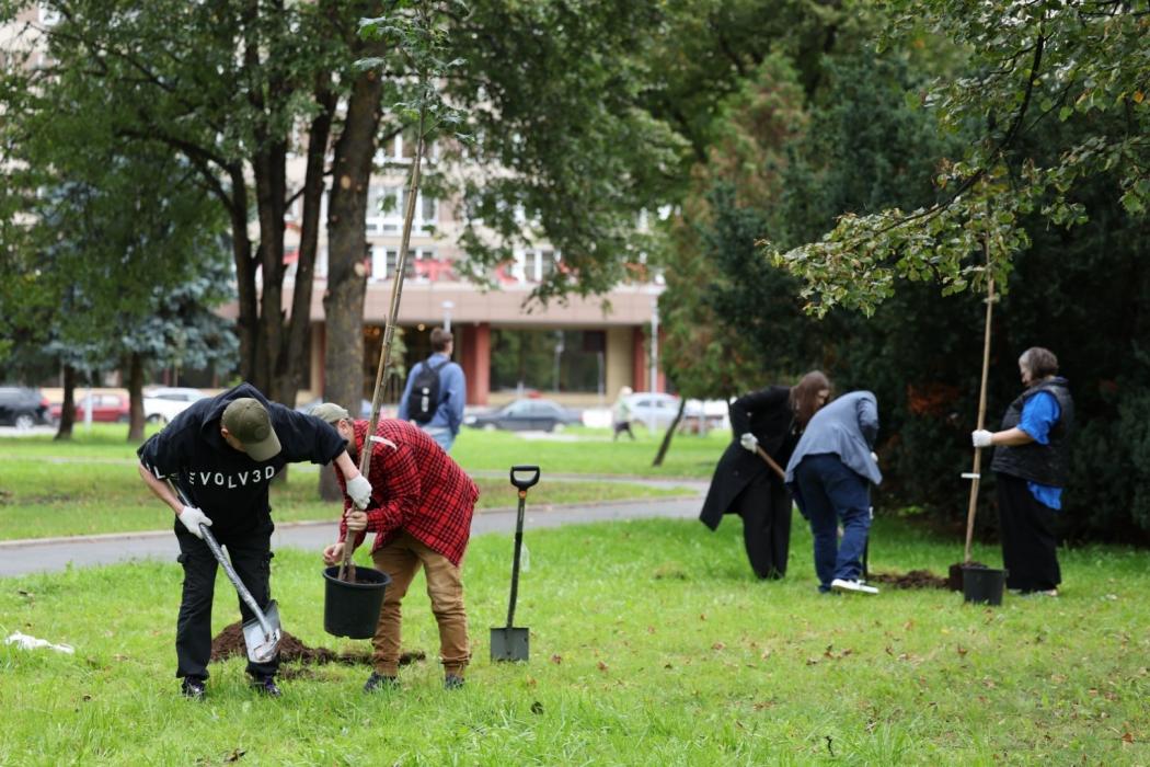 Аллею в честь 150-летия Союза театральных деятелей высадили в Пскове