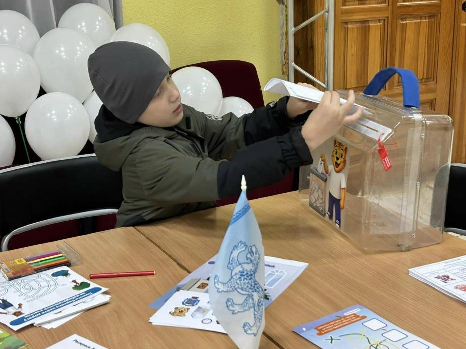 Проголосовать за необычных кандидатов предлагают юным жителям Великих Лук
