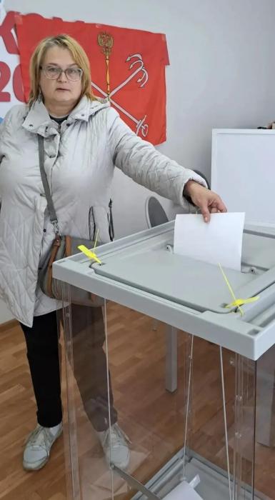 Голосование на экстерриториальных участках проходит в Псковской области