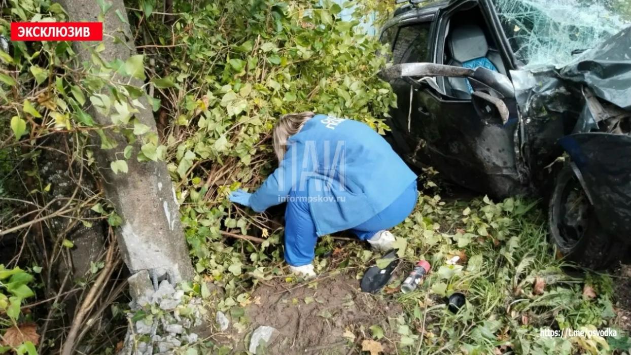ДТП в Стругах Красных 