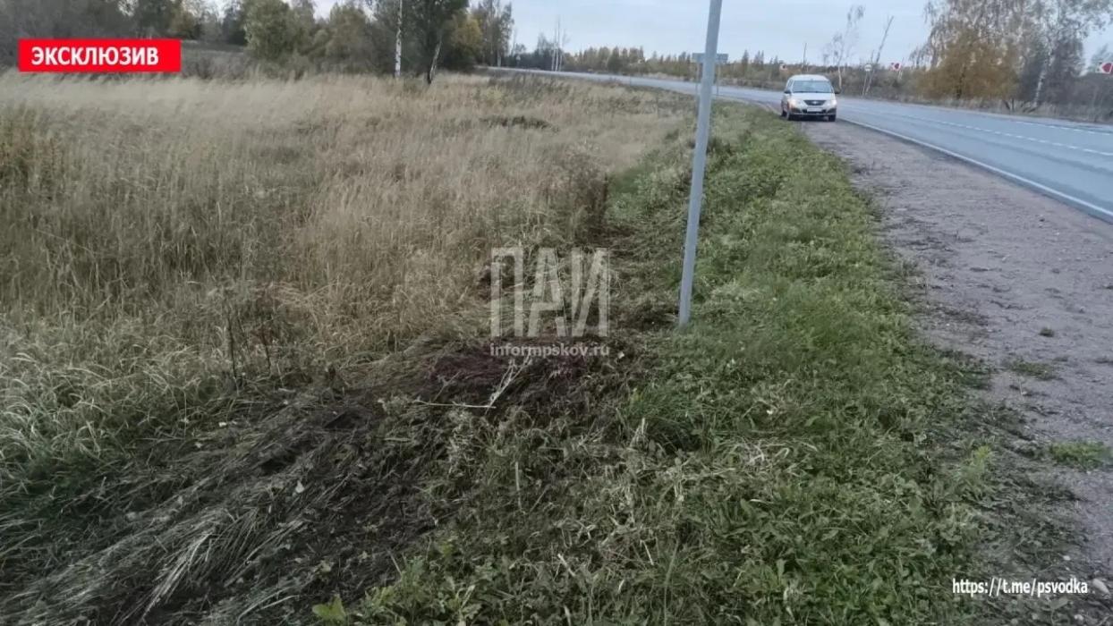 ДТП в Бежаницком районе 