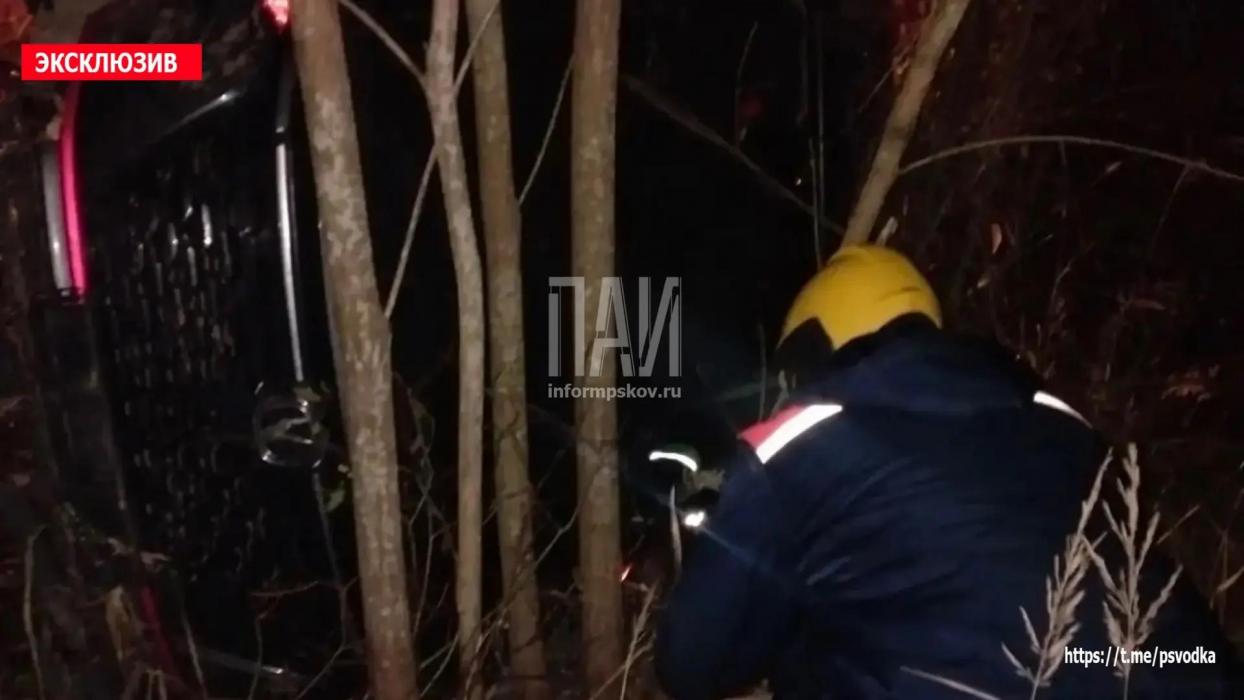 В Гдовском районе иномарка опрокинулась в кювет: пострадал один человек