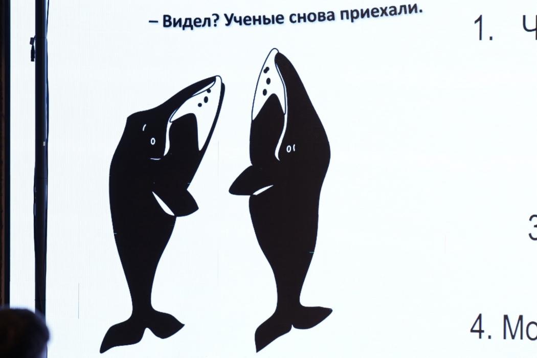 Мероприятие о китах