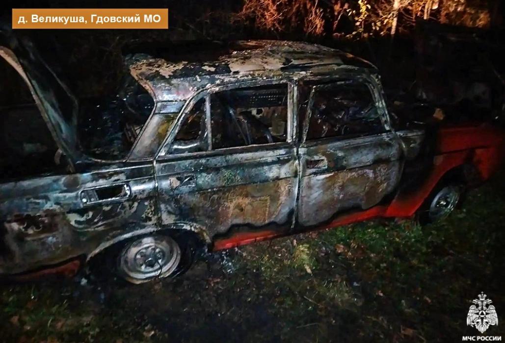 Пожар в деревне Великуша Гдовского района