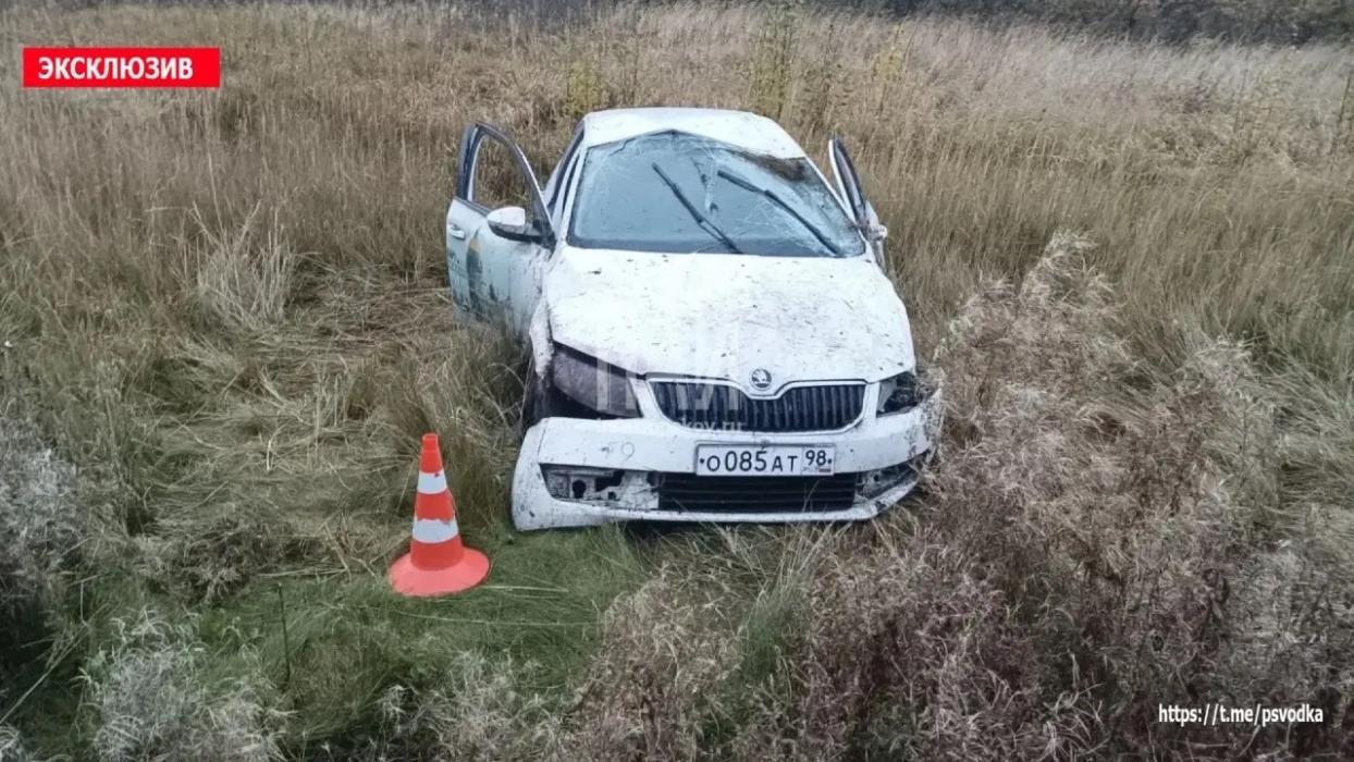 ДТП в Бежаницком районе 