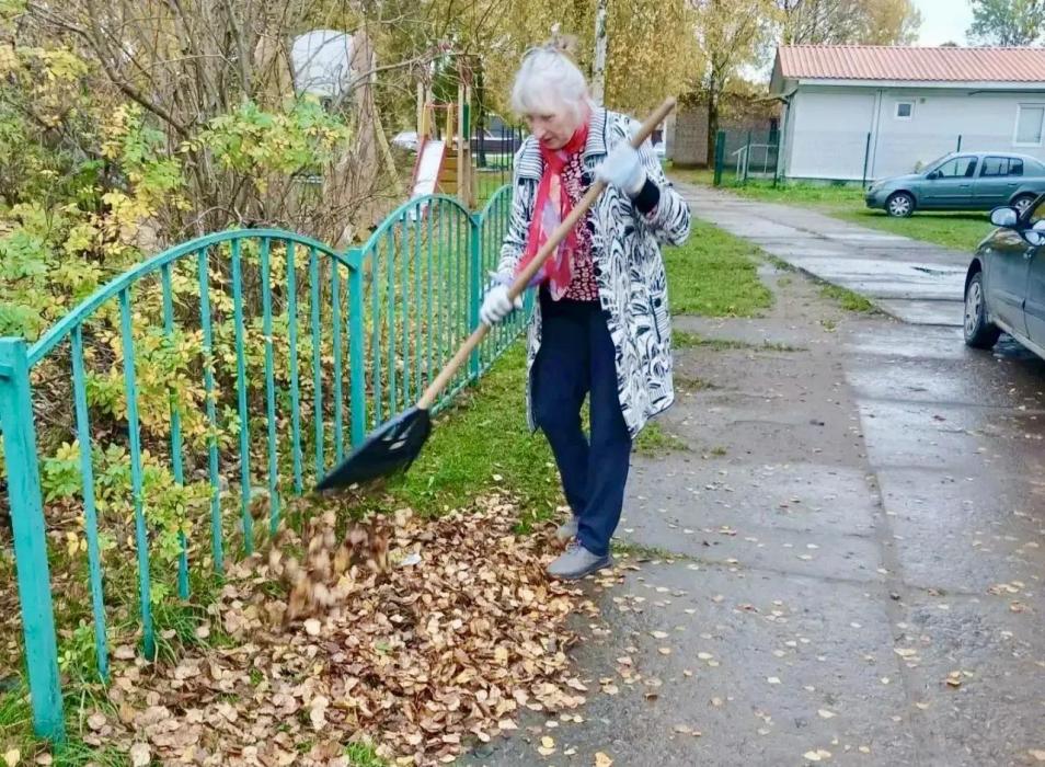 Территория заботы: в Псковском районе проходят традиционные осенние субботники