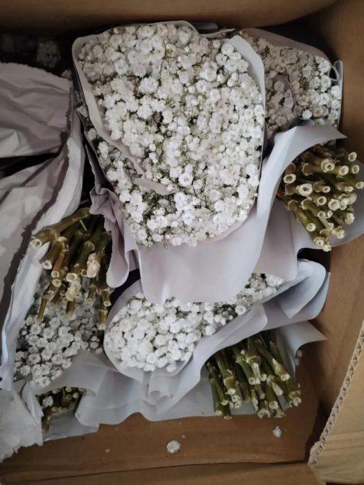 Почти 200 тысяч гвоздик и роз с нарушениями в документах запретили ввозить в Псковскую область