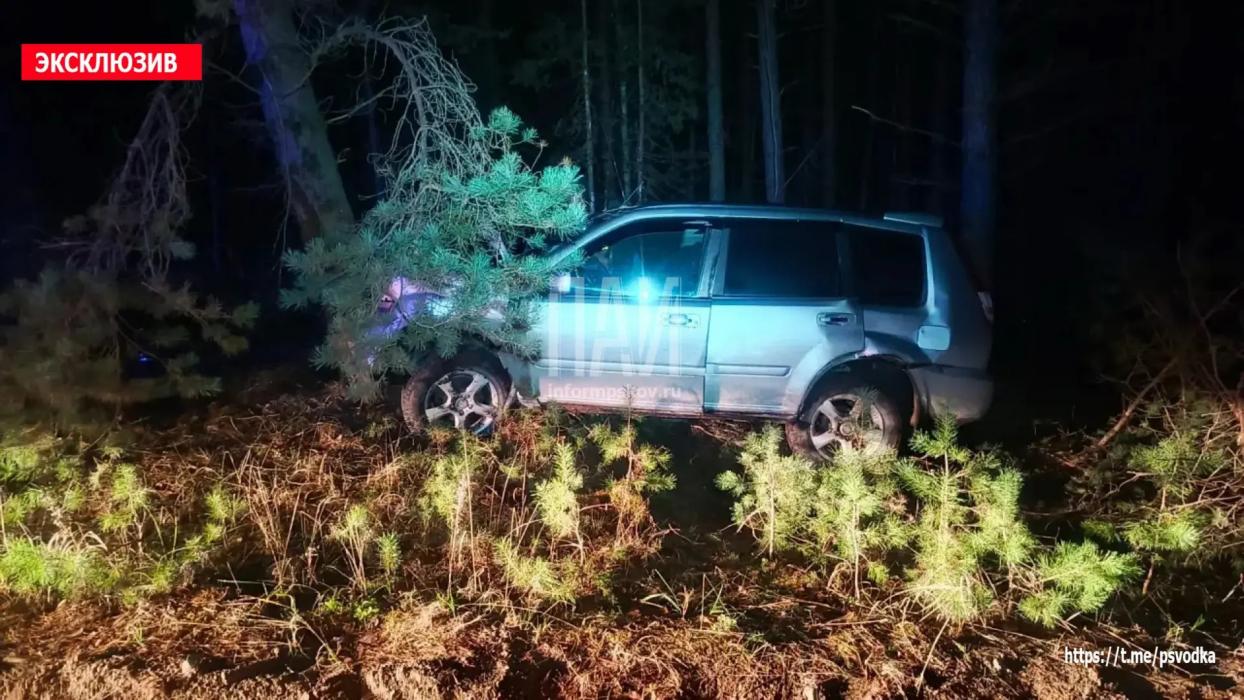 ДТП в Гдовском округе