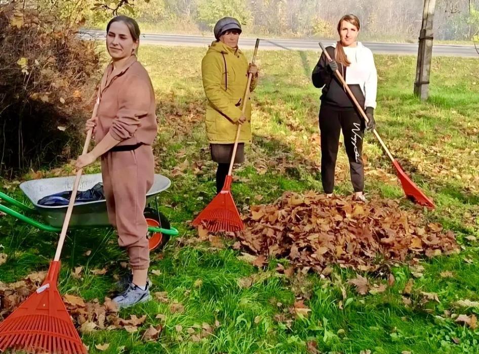Территория заботы: в Псковском районе проходят традиционные осенние субботники