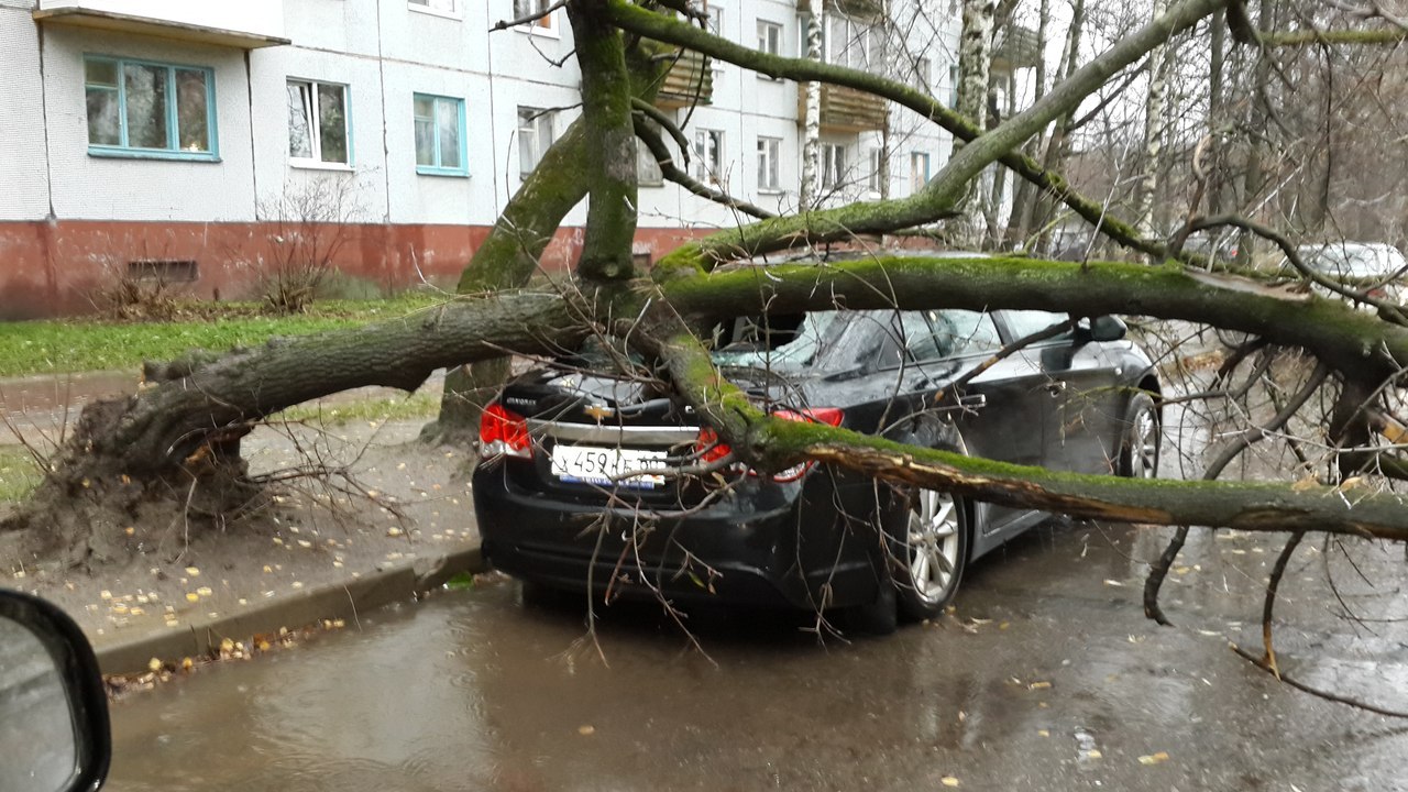 Фото из группы Жесть по-псковски в социальной сети ВКонтакте