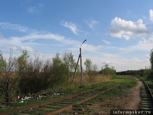 На фото: бесхозяйная линия