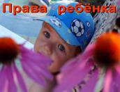 В Пскове пройдёт заседание Координационного Совета детских омбудсменов СЗФО