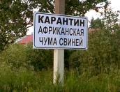 Замминистра сельского хозяйства: Меры по борьбе с АЧС, принимаемые в Псковской области, являются исчерпывающими