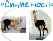 «Синие носы» открывают выставку художественного слабоумия в Пскове