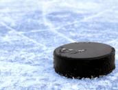 Всероссийский день зимних видов спорта пройдёт в Ледовом дворце Пскова