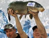Подводный фестиваль Beuchat Fest 2015 и соревнования Scorpena Cup 3 в Пустошкинском районе (ФОТОРЕПОРТАЖ)