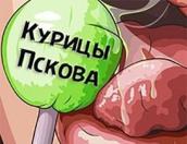 Полиция проверит группу «Курицы Пскова» в соцсети «ВКонтакте»