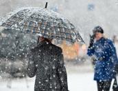 Мокрый снег ожидается в Псковской области в воскресенье